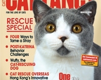 Cat Fancy Magazine Cover